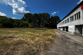 Аренда под пищевое в Кировском 420 кв.м